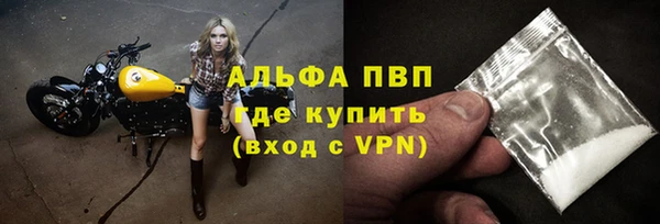 a pvp Алзамай