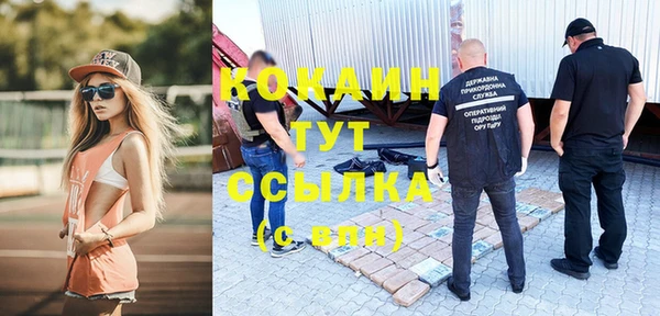 a pvp Алзамай