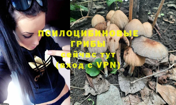 индика Алексеевка