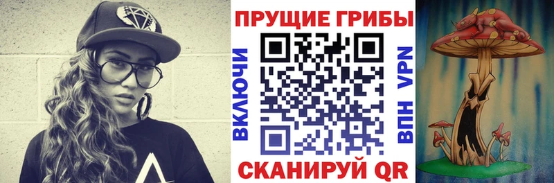 Галлюциногенные грибы мухоморы  магазин  наркотиков  Саранск 