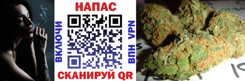 Конопля Amnesia  Саранск 